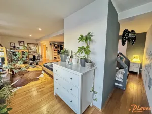 Pronájem bytu 2+kk, Praha - Bubeneč, Národní obrany, 126 m2