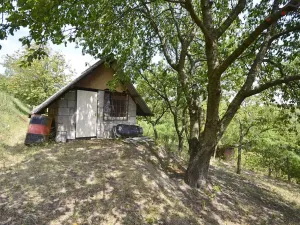 Prodej sadu/vinice, Bzenec, 2460 m2