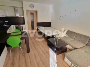 Pronájem bytu 1+kk, Uherské Hradiště, Pastýrna, 30 m2