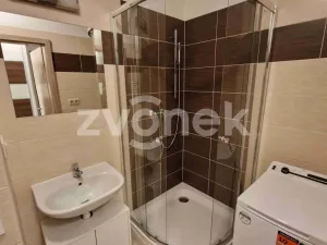 Pronájem bytu 1+kk, Uherské Hradiště, Pastýrna, 30 m2