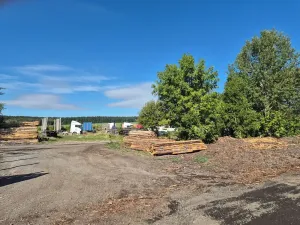Prodej výrobních prostor, Velká Hleďsebe, K Malé Hleďsebi, 28305 m2