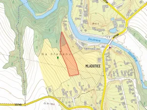 Prodej pozemku pro bydlení, Ronov nad Doubravou, 8684 m2