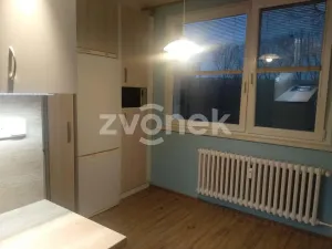 Pronájem bytu 2+1, Napajedla, Nábřeží, 61 m2