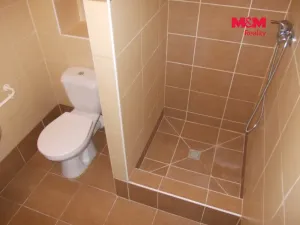 Pronájem bytu 1+kk, Ostrava - Zábřeh, Plzeňská, 22 m2