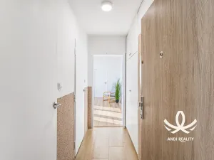 Pronájem bytu 3+1, Mladá Boleslav, Jičínská, 62 m2