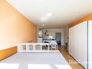 Pronájem bytu 1+kk, Brandýs nad Labem-Stará Boleslav - Brandýs nad Labem, Vrábská, 40 m2