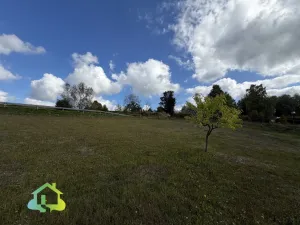 Prodej vícegeneračního domu, Člunek - Lomy, 260 m2