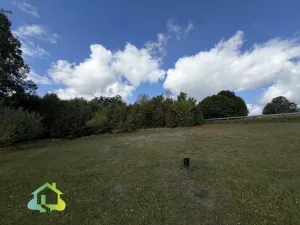 Prodej vícegeneračního domu, Člunek - Lomy, 260 m2