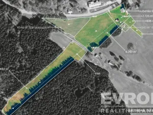 Prodej ubytování, Orlické Záhoří, 1751 m2