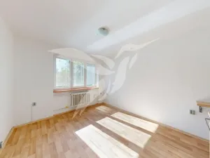 Pronájem bytu 1+kk, Plzeň, Mohylová, 18 m2