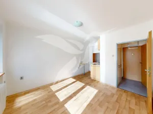 Pronájem bytu 1+kk, Plzeň, Mohylová, 18 m2
