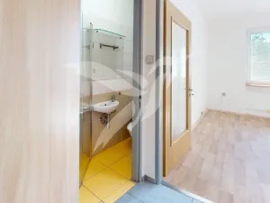 Pronájem bytu 1+kk, Plzeň, Mohylová, 18 m2