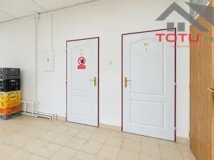 Prodej obchodního prostoru, Kostelec nad Orlicí, Mánesova, 1058 m2