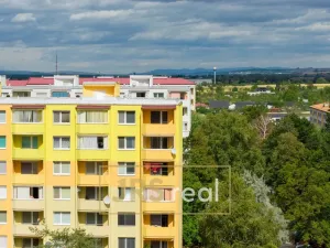 Prodej bytu 3+1, Veselí nad Moravou, Hutník, 75 m2