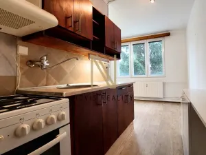 Pronájem bytu 1+1, Domažlice, Švabinského, 42 m2