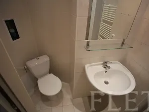 Pronájem bytu 1+1, Praha - Žižkov, Chelčického, 50 m2