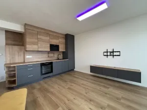 Pronájem bytu 3+kk, České Budějovice - České Budějovice 5, Dobrovodská, 73 m2