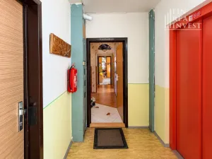 Prodej bytu 4+1, Hodonín, 85 m2