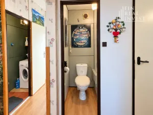 Prodej bytu 4+1, Hodonín, 85 m2