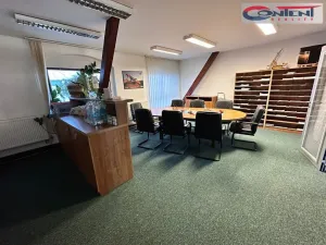 Prodej skladu, Králův Dvůr, Tovární, 1088 m2