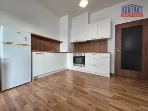 Pronájem bytu 1+kk, České Budějovice, U Boru, 26 m2