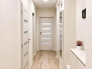 Pronájem bytu 3+kk, Olomouc - Nová Ulice, Wolkerova, 63 m2