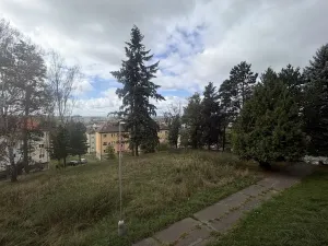 Prodej bytu 1+1, Havlíčkův Brod, Žižkov II, 25 m2