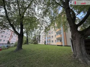 Prodej bytu 2+1, Uherský Brod, Družstevní, 57 m2