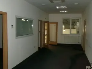 Pronájem skladu, Brno - Horní Heršpice, 900 m2