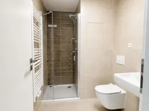 Pronájem bytu 1+kk, Plzeň - Jižní Předměstí, Železná, 28 m2