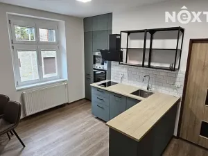 Pronájem bytu 2+1, Tábor, Vítkova, 48 m2