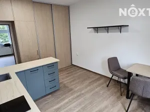 Pronájem bytu 2+1, Tábor, Vítkova, 48 m2