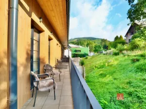 Prodej bytu 1+kk, Černý Důl, 61 m2