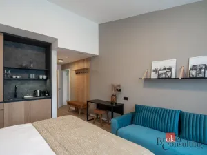 Prodej bytu 1+kk, Černý Důl, 30 m2