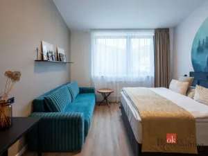Prodej bytu 1+kk, Černý Důl, 30 m2