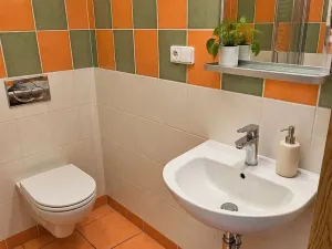 Prodej bytu 1+kk, Brno, Božetěchova, 23 m2