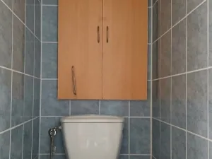 Prodej bytu 3+1, Stříbro, Brožíkova, 56 m2