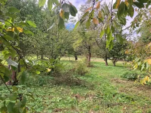 Prodej pozemku pro bydlení, Plavy, 1132 m2