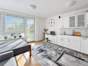 Pronájem bytu 1+kk, Praha - Hostivař, Rižská, 35 m2