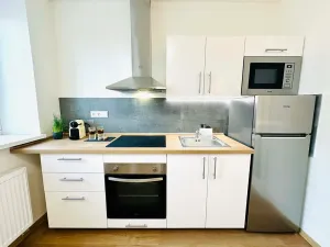 Pronájem bytu 1+kk, Jihlava, Havlíčkova, 40 m2