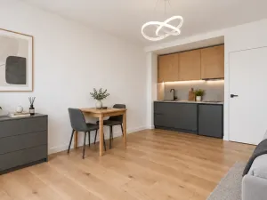 Prodej bytu 1+kk, Brno, Horácké náměstí, 26 m2