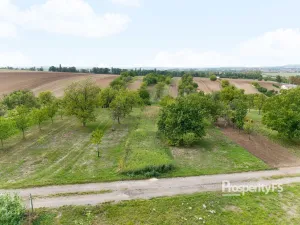 Prodej zahrady, Prace, 832 m2