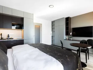 Pronájem bytu 1+kk, Hradec Králové, Na Brně, 35 m2