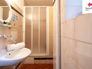 Pronájem komerční nemovitosti, Plzeň - Jižní Předměstí, Borská, 15 m2