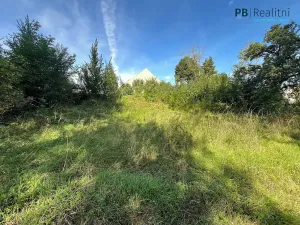 Prodej pozemku pro bydlení, Ledce, 9180 m2