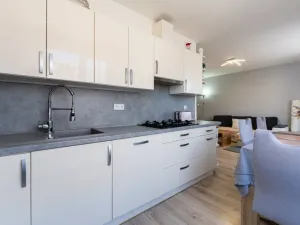 Pronájem bytu 2+kk, Most, Petra Jilemnického, 53 m2