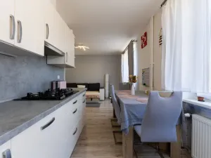 Pronájem bytu 2+kk, Most, Petra Jilemnického, 53 m2