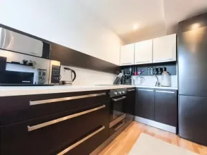 Pronájem bytu 2+kk, Brno, Fryčajova, 58 m2