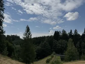Prodej pole, Jedlí, 8401 m2