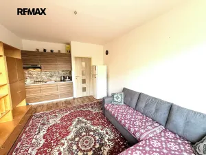 Prodej bytu 1+kk, Praha - Záběhlice, Hvozdíková, 24 m2